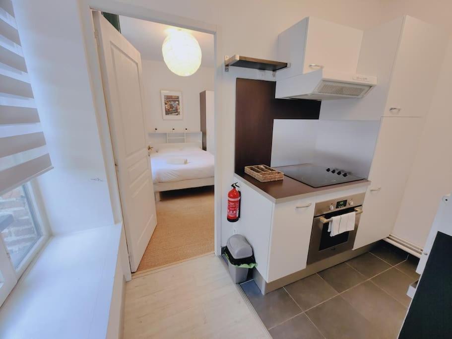 Appartement Lumineux Et Calme Parking Gratuit Лилль Экстерьер фото